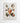 Artworld Wall Art Different Shell Vintage Canvas Prints 299