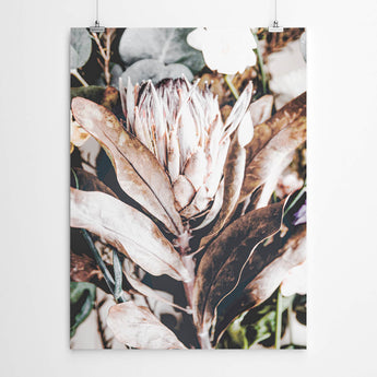 Artworld Wall Art Dried Protea Artwork