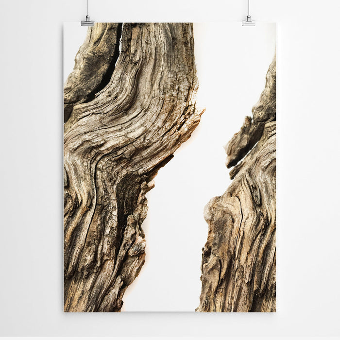 Driftwood Wall Art