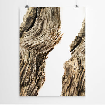 Artworld Wall Art Driftwood Wall Art