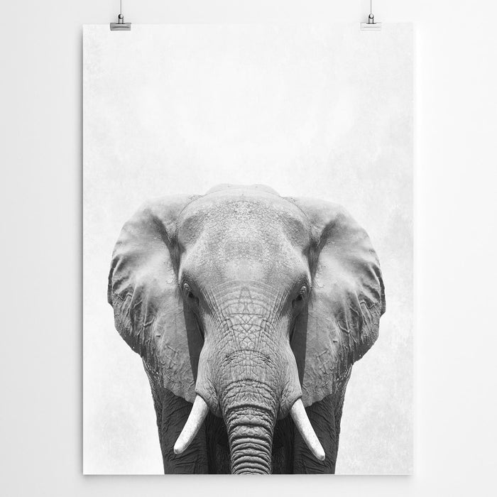 Elephant art print