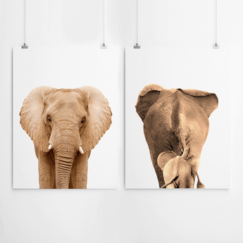 Artworld Wall Art Elephant Back And Front Print 32