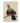 A green-headed bird with red facial markings and crimson wing feathers perched on a brown branch against a beige background.