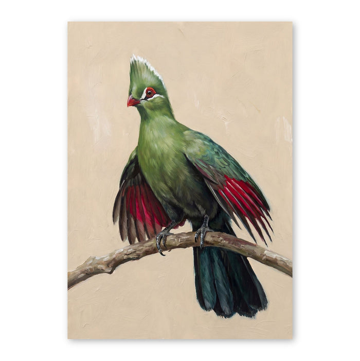Emerald Crowned Bird Portrait