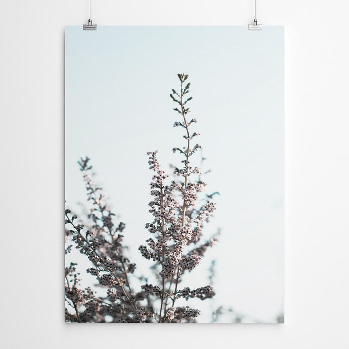 Erica Fynbos Wall Art Canvas