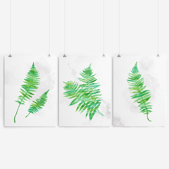 Artworld Wall Art Fern Leaf Art 329