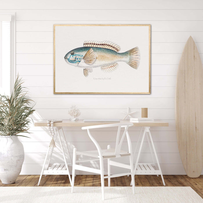 Fish Wall Art