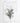 Artworld Wall Art Floral Botanical Fynbos Print 34