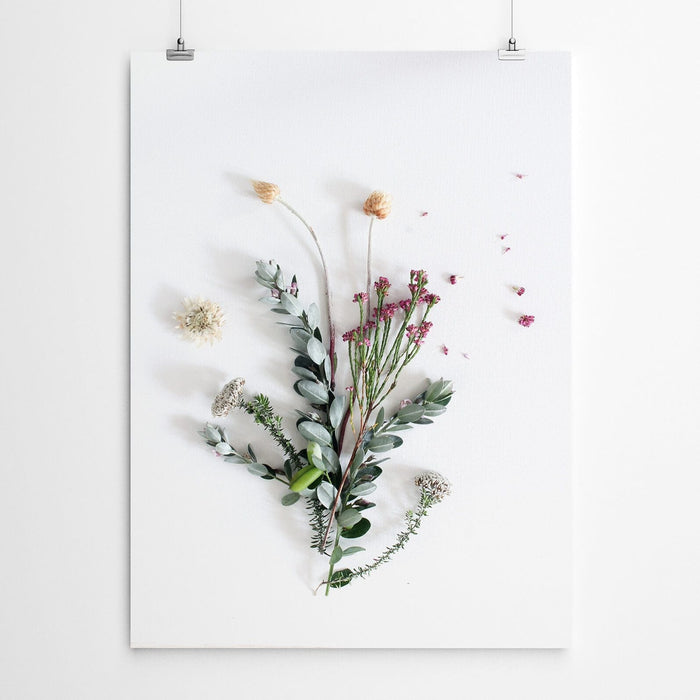 Floral Botanical Fynbos Print