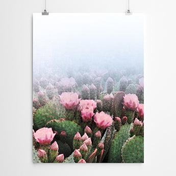 Artworld Wall Art Floral Cactus Botanical Photography Wall Art 342