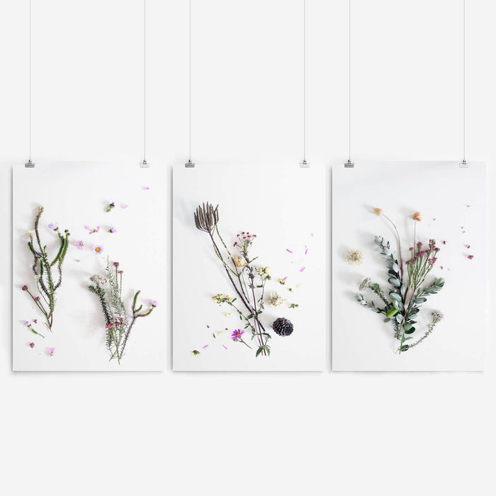 Floral Fynbos Art Print Set