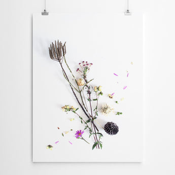 Artworld Wall Art Floral Fynbos Wall Art 348