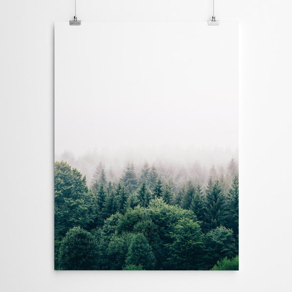 Artworld Wall Art Forest Art Prints 373