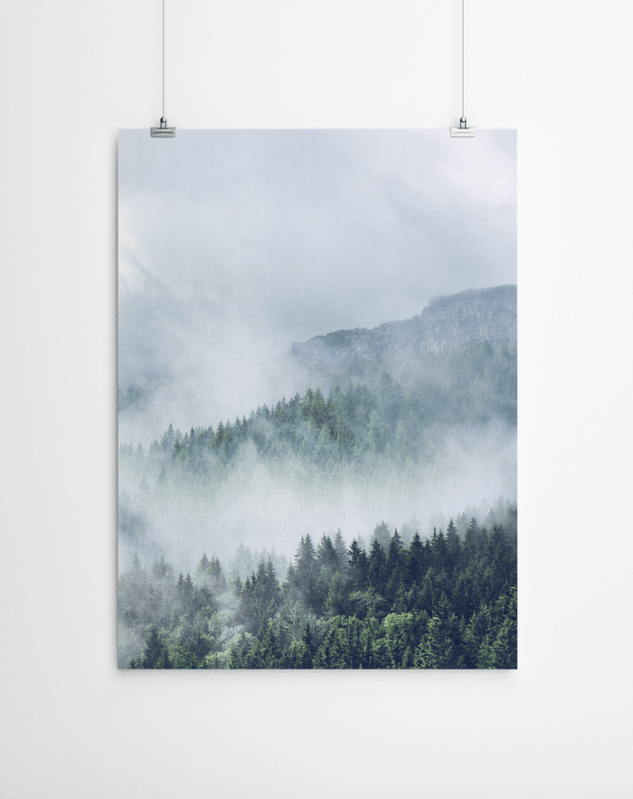 Forest Canvas Print