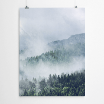 Artworld Wall Art Forest Canvas Print 374