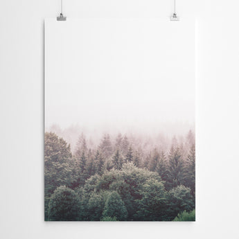 Artworld Wall Art Forest Canvas Prints