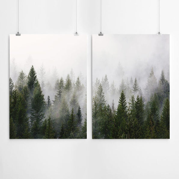 Artworld Wall Art Forest Wall Art Print 380
