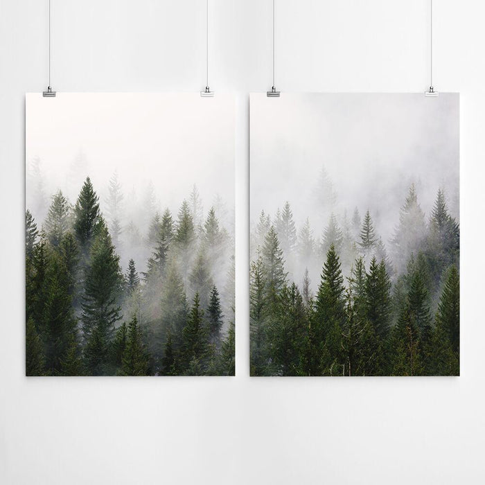 Forest Wall Art Print