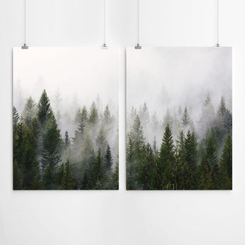 Artworld Wall Art Forest Wall Art Print 380