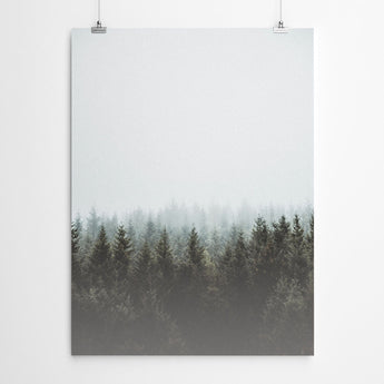 Artworld Wall Art Forest Wall Art Prints 38