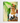 Artworld Wall Art Frida Kahlo Print 390