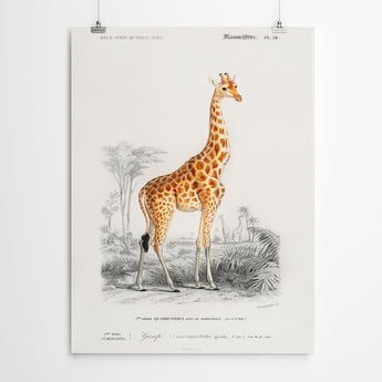 Artworld Wall Art Giraffe Vintage Art Canvas Print 426