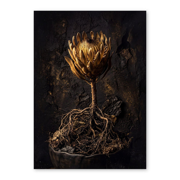 Golden protea flower with exposed roots against dark textured background, illuminated in warm bronze and gold tones