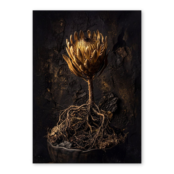 Golden Protea In Darkness