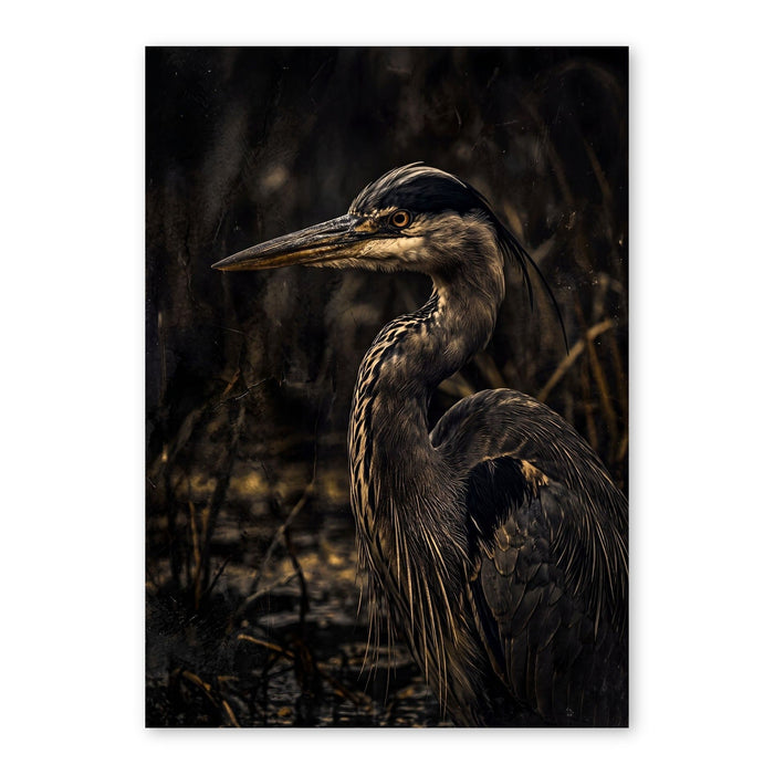 Great Blue Heron In Golden Light