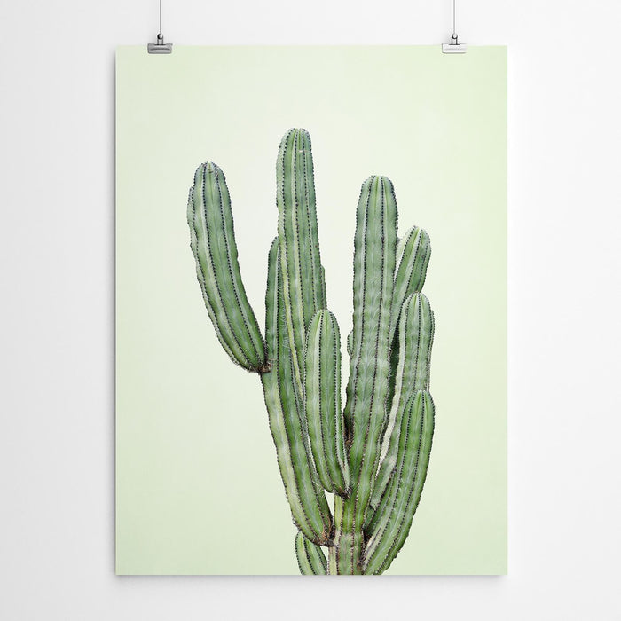 Green Cactus Poster Print