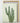 Artworld Wall Art Green Cactus Poster Print 444