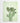Artworld Wall Art Green Cactus Wall Art Print 445
