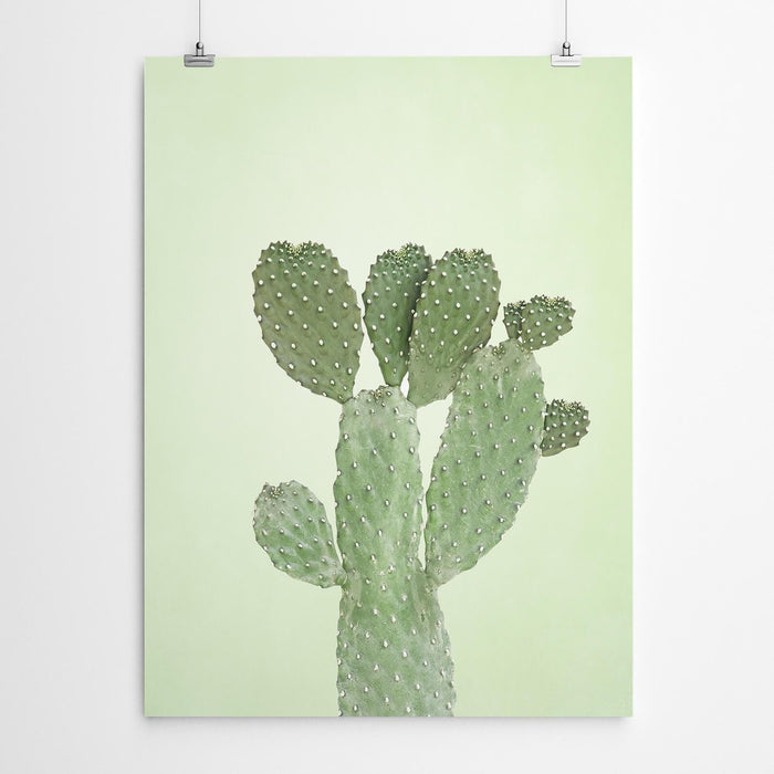 Green Cactus Wall Art Print