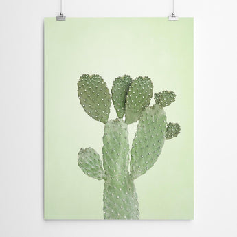 Artworld Wall Art Green Cactus Wall Art Print 445