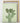 Artworld Wall Art Green Cactus Wall Art Print 445