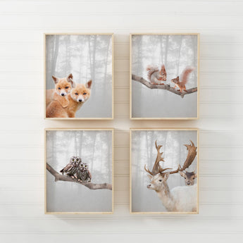 Artworld Wall Art Grey Woodland Nursery Wall Art Prints 453