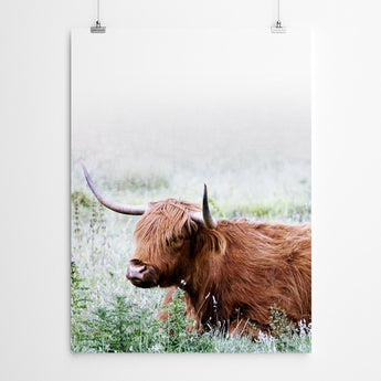 Artworld Wall Art Highland Cow Wall Art 469