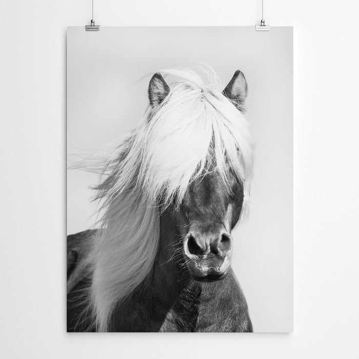 Horse Wall Art Print