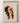 Artworld Wall Art Indian Head Dress Print 462