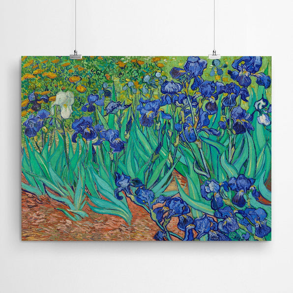 Artworld Wall Art Irises - Vincent Van Gogh Ready to Hang Canvas Prints 473