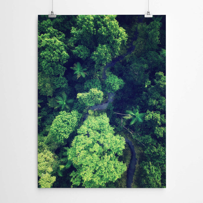 Jungle Photography Print