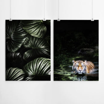 Artworld Wall Art Jungle Tiger Wall Art Prints 479