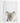 Artworld Wall Art Koala Bear Art 482