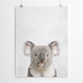 Artworld Wall Art Koala Bear Art 482