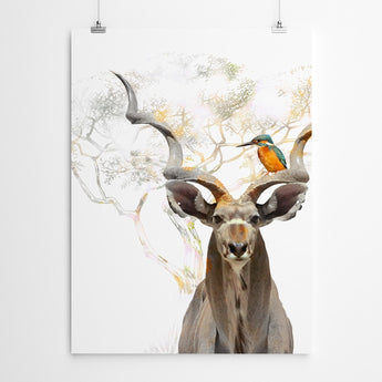 Artworld Wall Art Kudu Wall Art Print 483