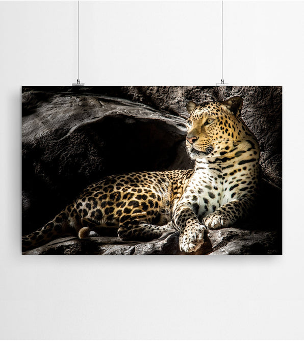 Artworld Wall Art Leopard Art Print 498