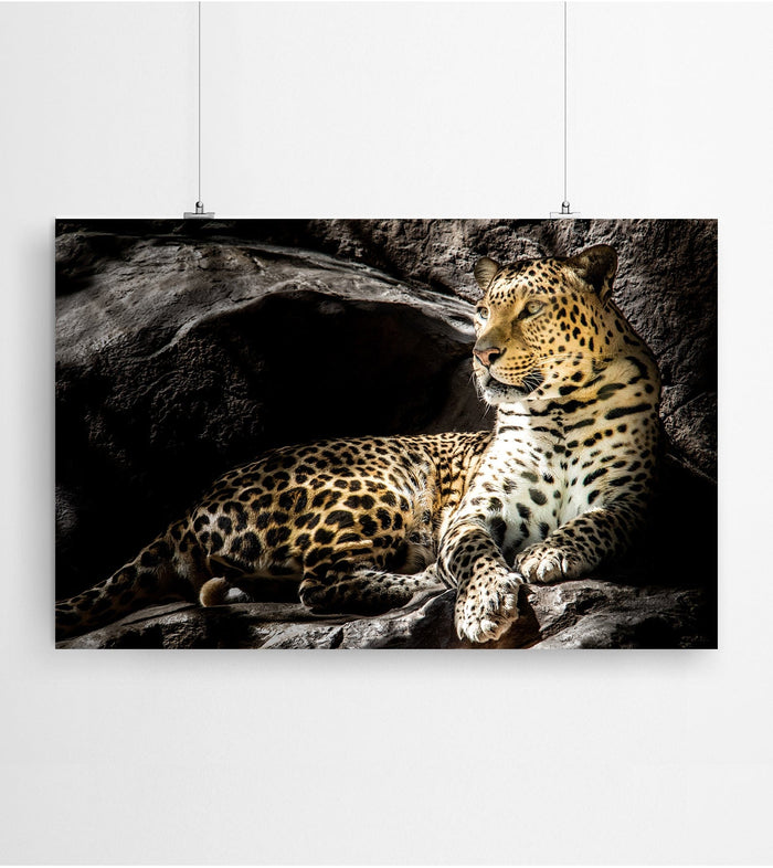 Leopard Art Print