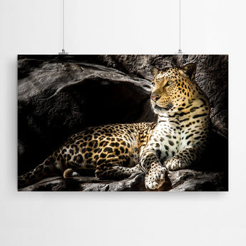 Artworld Wall Art Leopard Art Print 498