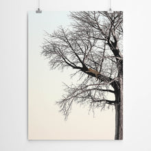 Curators Choice Pick of Wall Art — wall art South Africa