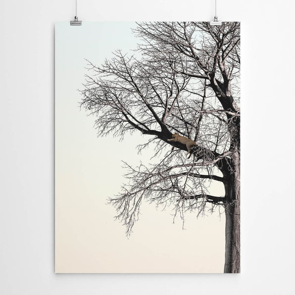 Artworld Wall Art Leopard in a Big Tree Wall Art Print